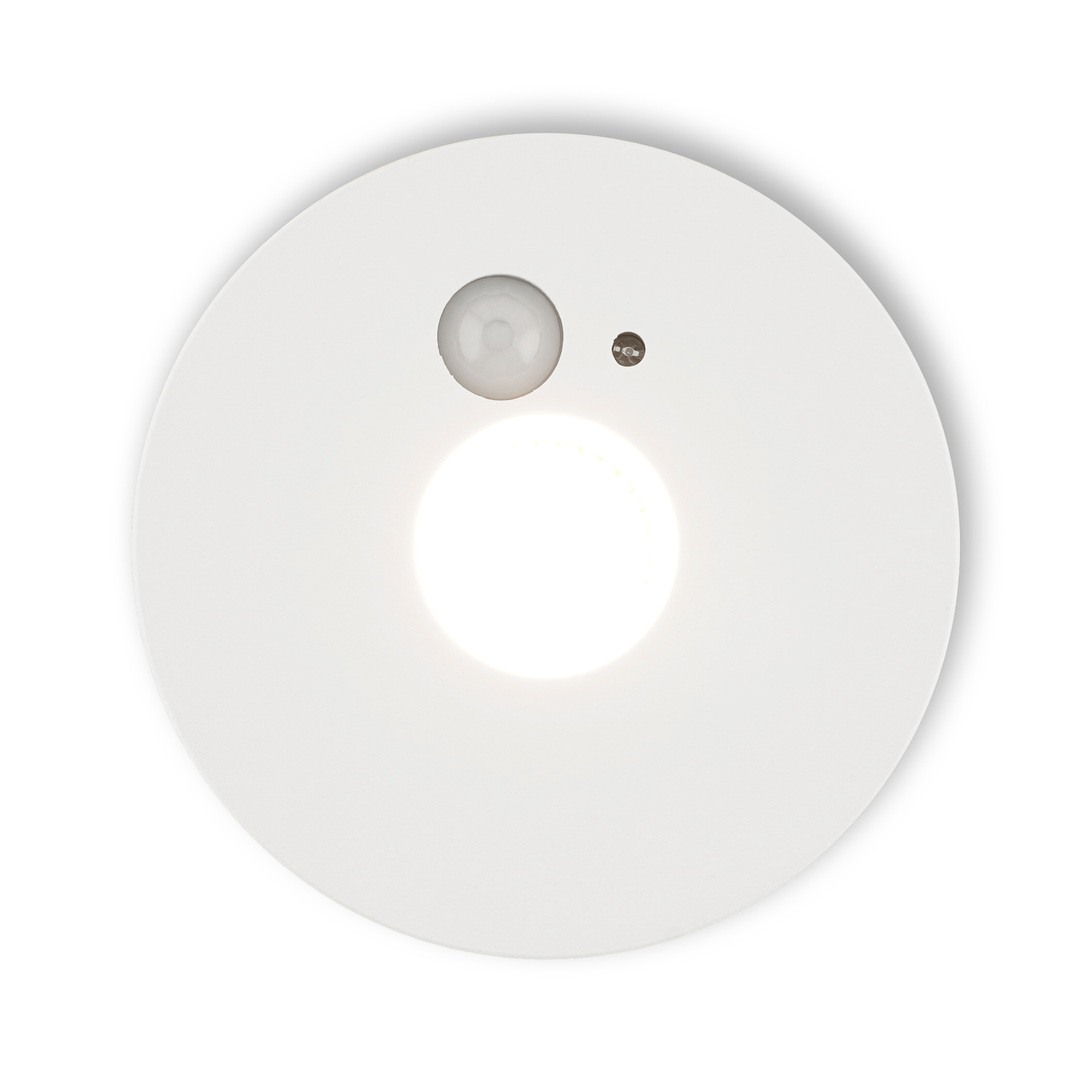 Noto_top_lighton.jpg