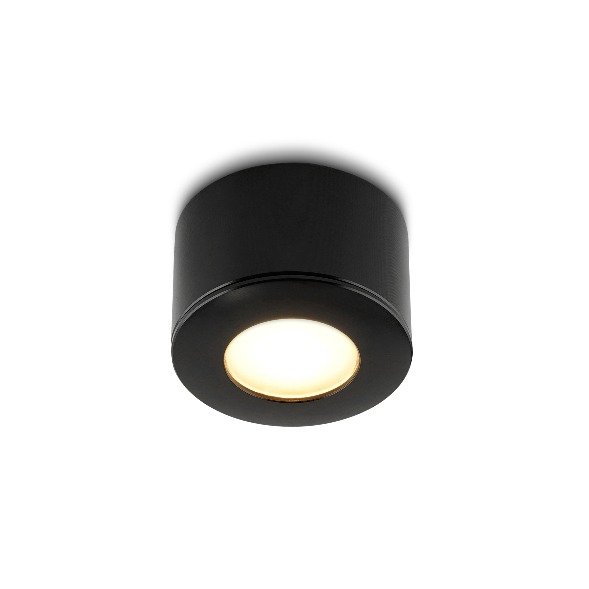 Parma_zwa_frontdown_lighton_25.jpg