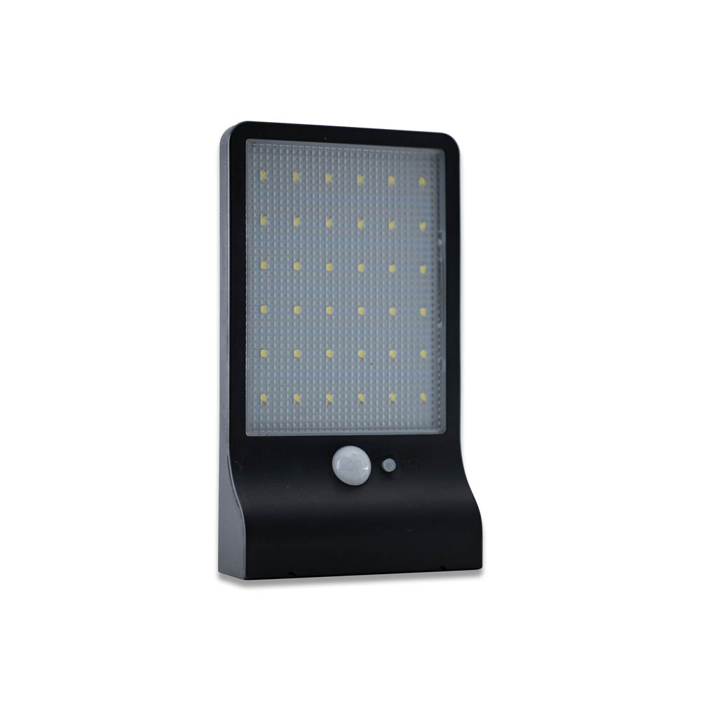 Regina-LEDs.jpg