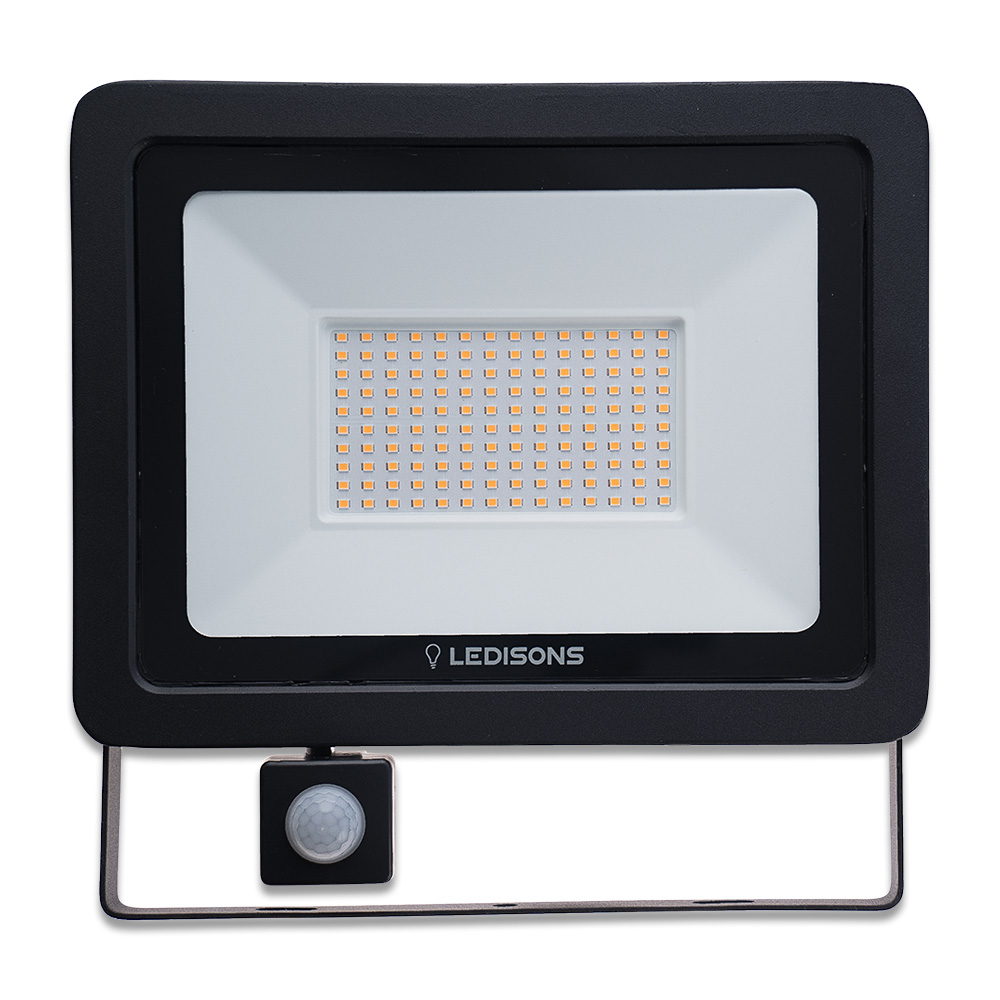 LDB12-100-front.jpg