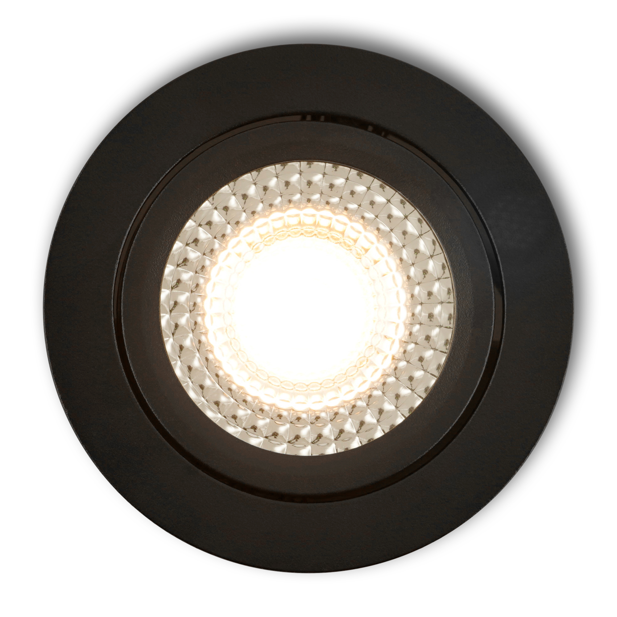 Vivaro_zwa_i_top_lighton_25.jpg