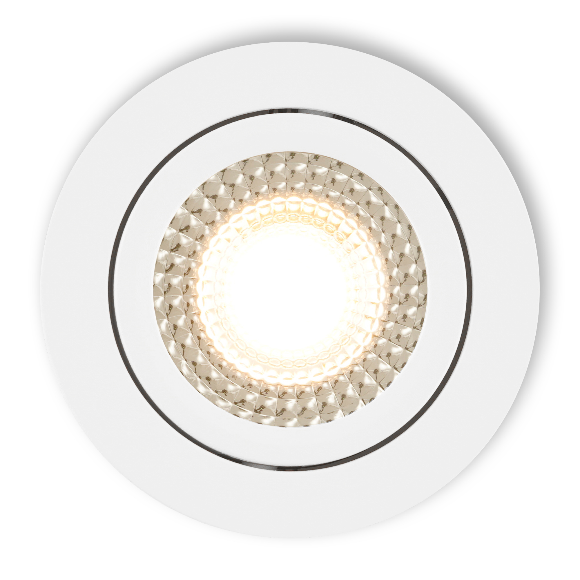 Vivaro_wit_i_top_lighton_25.jpg