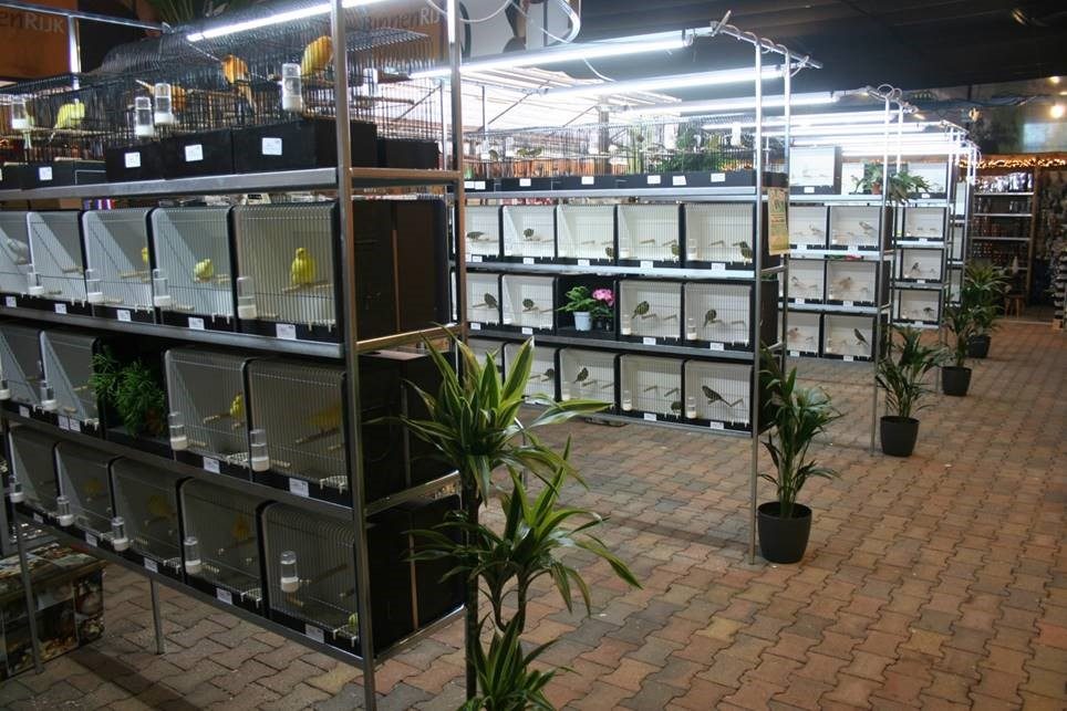 Led-TL-armatuur-150-cm-koud-wit.jpg