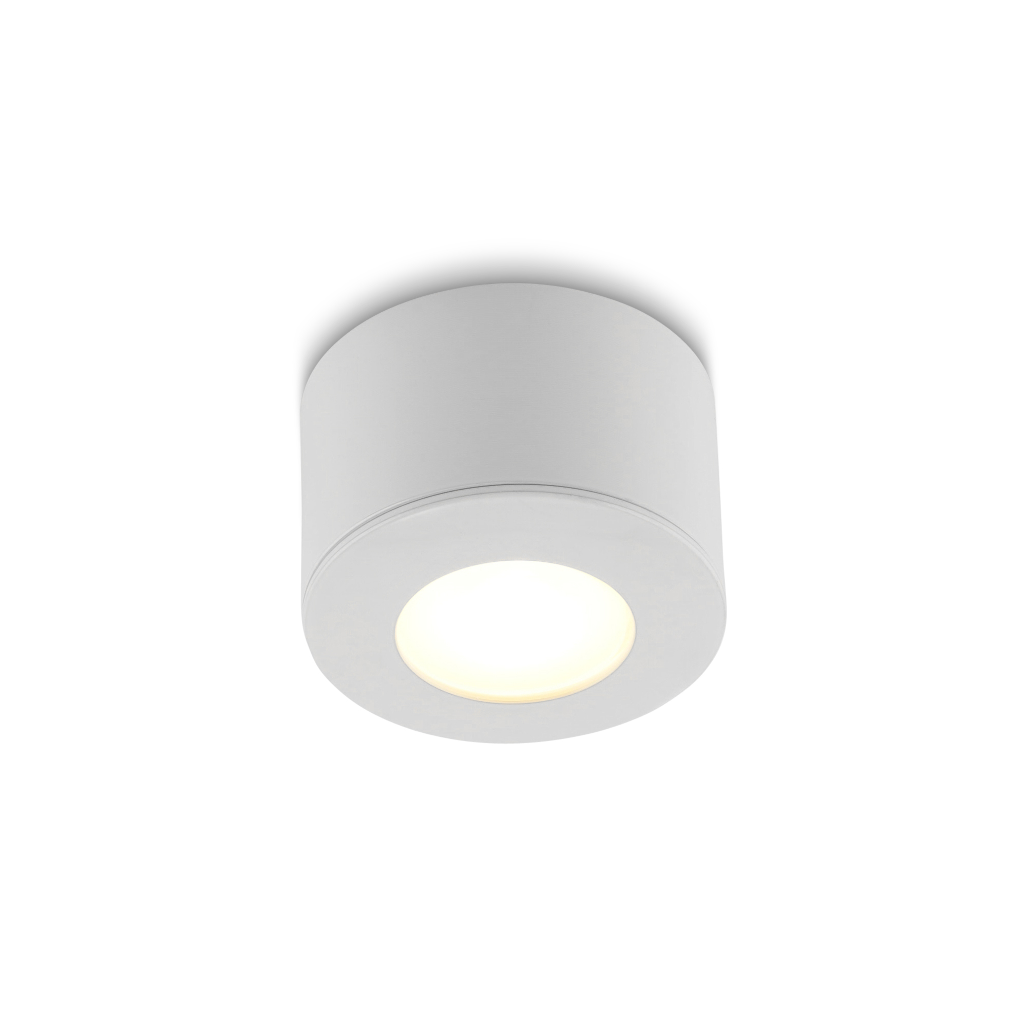Parma_wit_frontdown_lighton_25.jpg