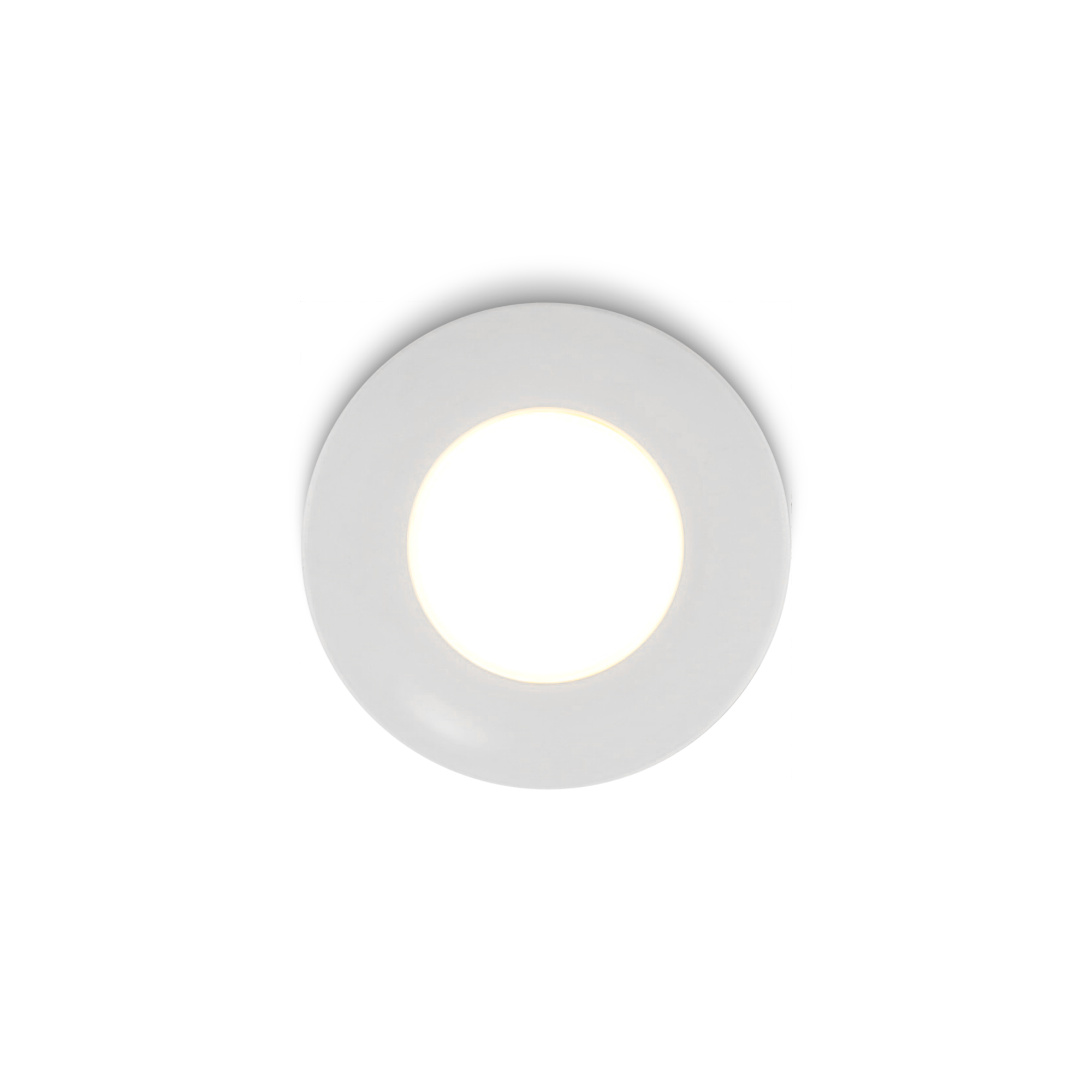 Parma_wit_top_lighton_25.jpg